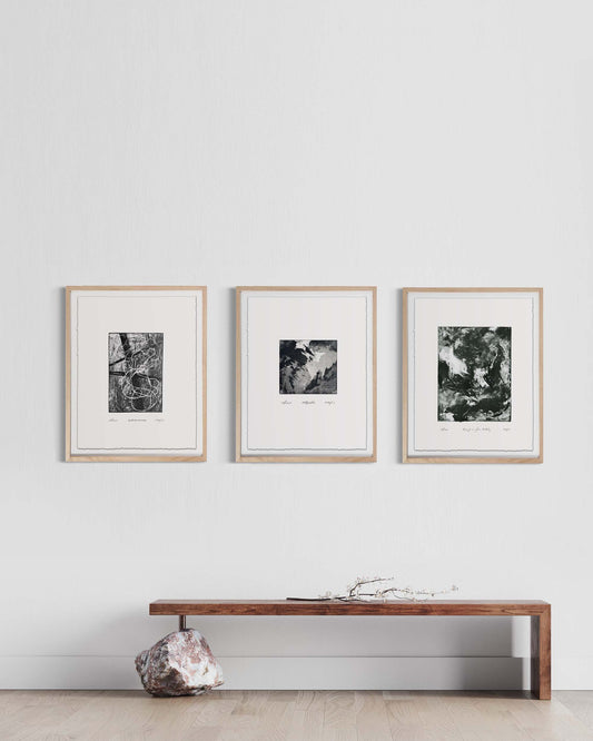 Framed Gallery Wall Set of 3