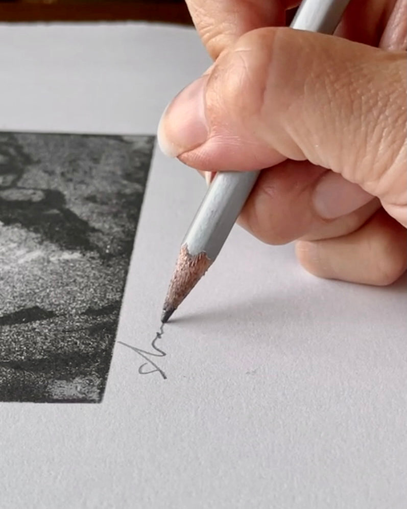 Limited Edition Framed Gallery Wall Diptych Set of 2 (One Available)