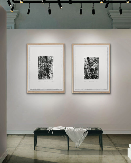 Limited Edition Framed Gallery Wall Diptych Set of 2 (One Available)