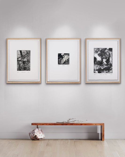 Limited Edition Framed Gallery Wall Triptych Set of 3 (One Available)