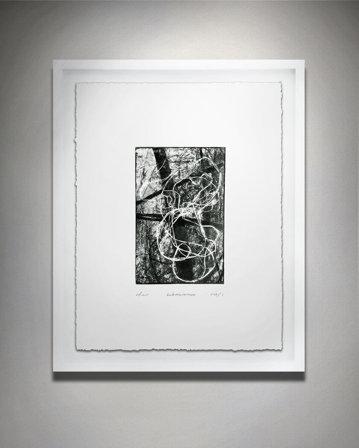 Subconscious Framed 16x20