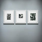 Triptych Gallery Wall 16x20 Framed Set of 3